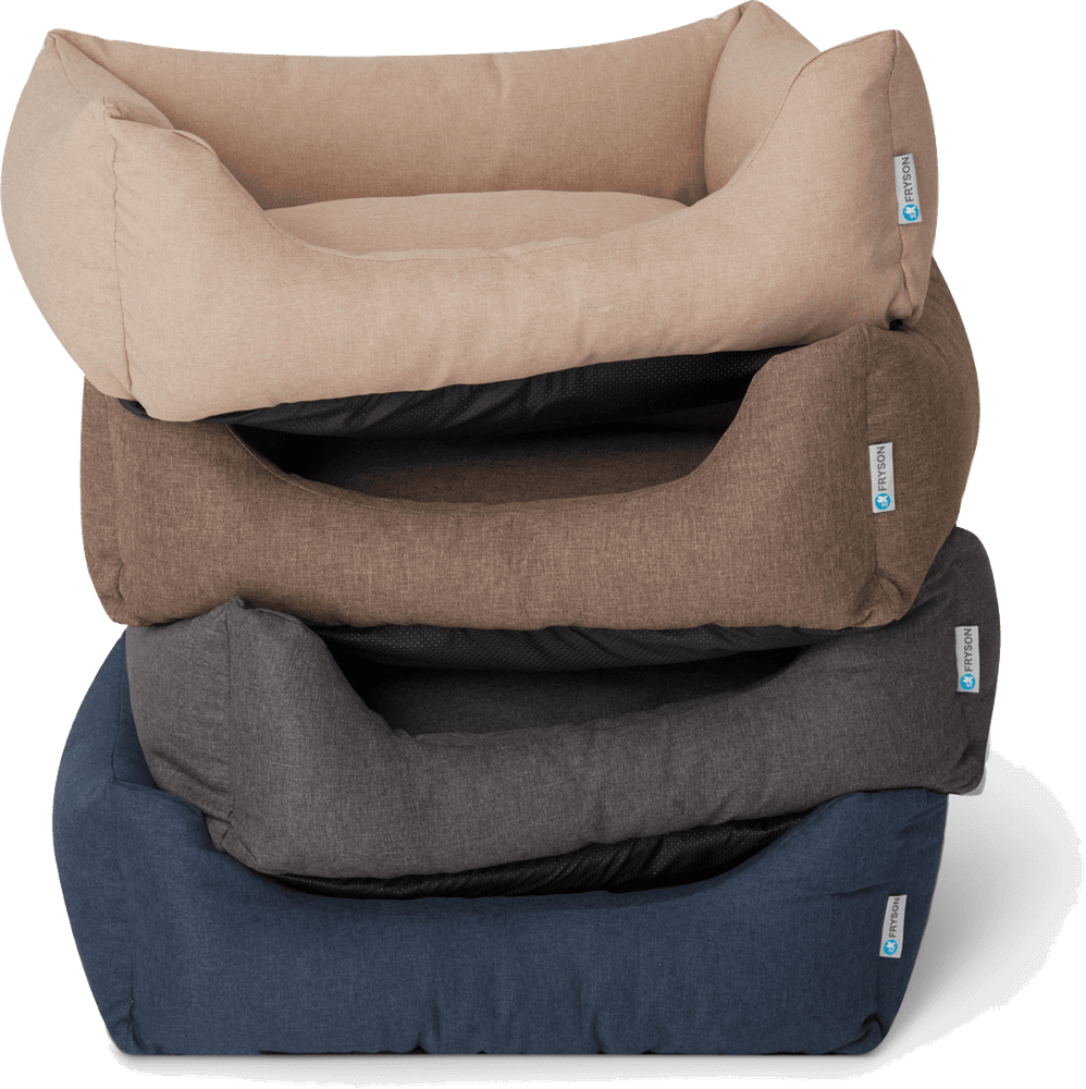 Skåne koiranpeti, M, ruskea, view: 3