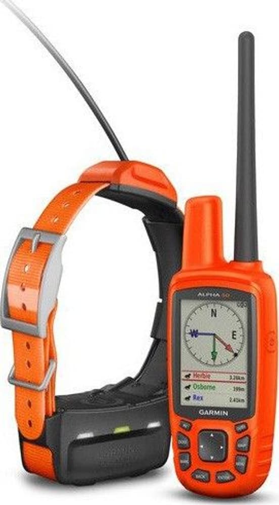 Alpha 50 + T5 koira-GPS, view: 0