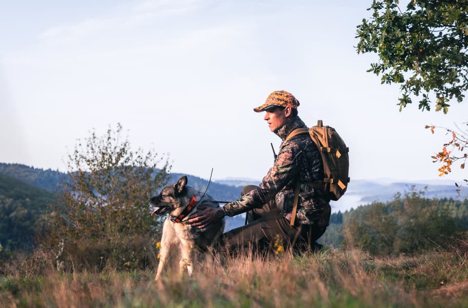 Alpha 300 koiranseurantakäsilaite, view: 8