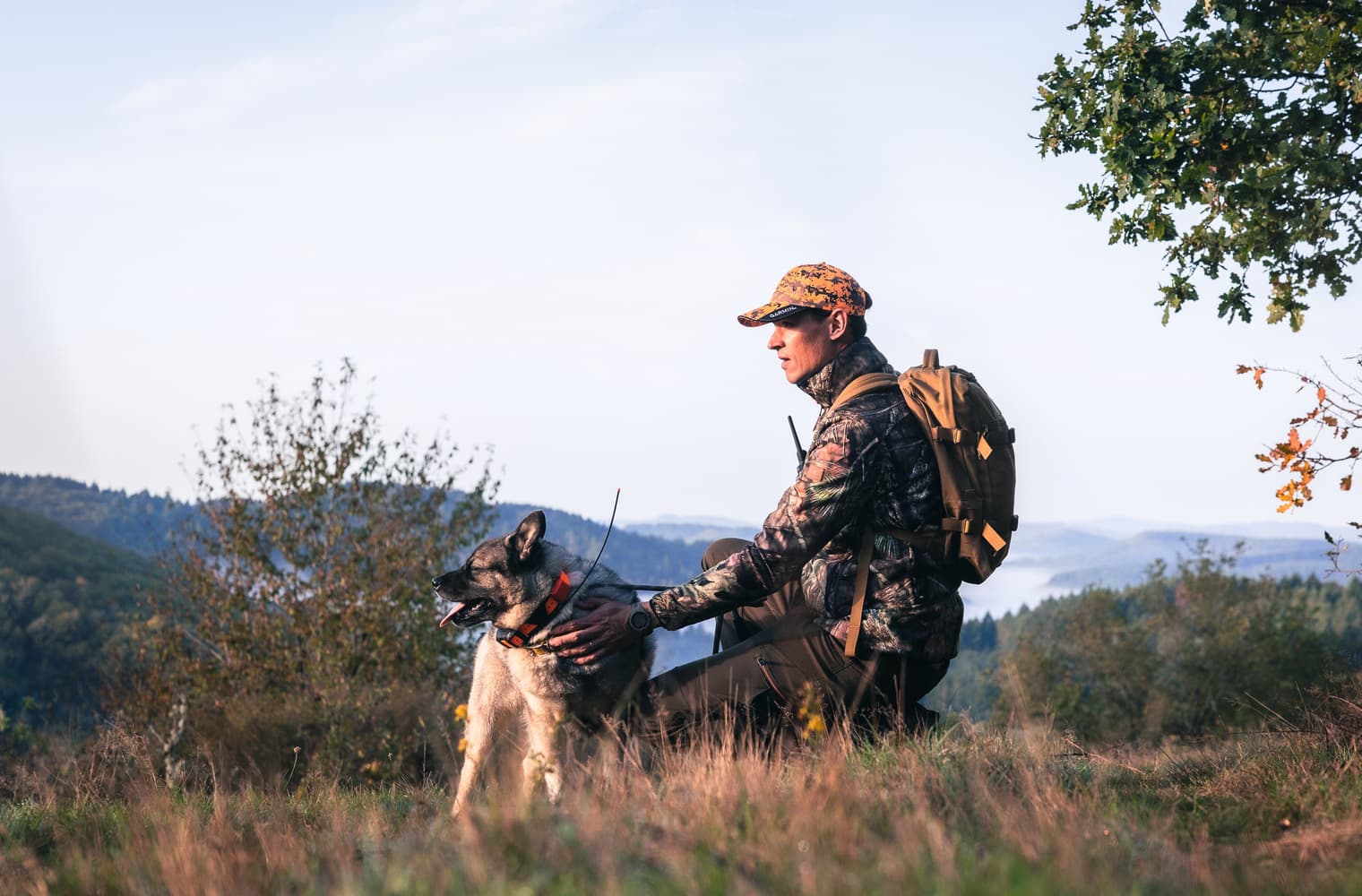 Alpha 300i koiranseurantakäsilaite, view: 8