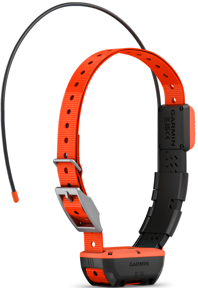 Alpha T20 koirapanta, view: 4