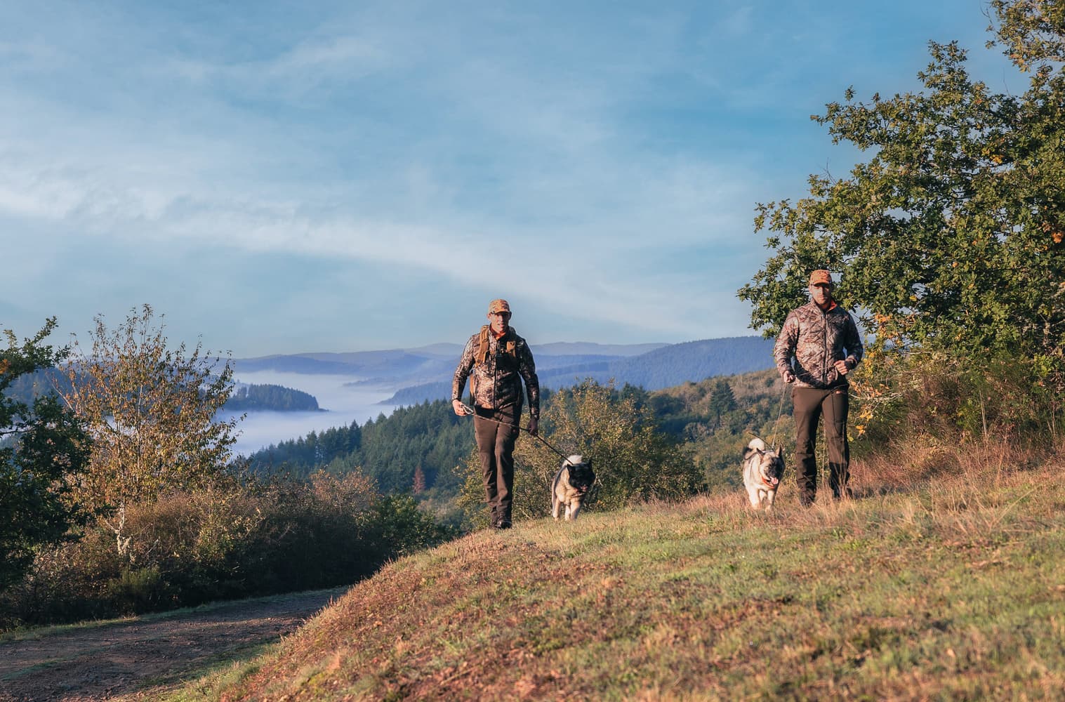 Alpha T20 koirapanta, view: 9