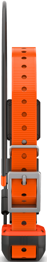 Alpha T20 koirapanta, view: 1