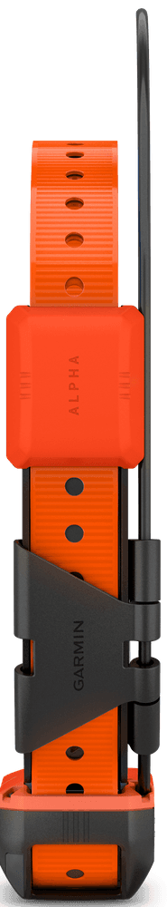 Alpha T20 koirapanta, view: 2