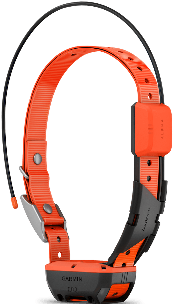 Alpha T20 koirapanta, view: 5