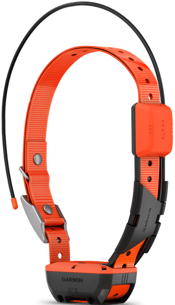 Alpha T20 koirapanta, view: 5