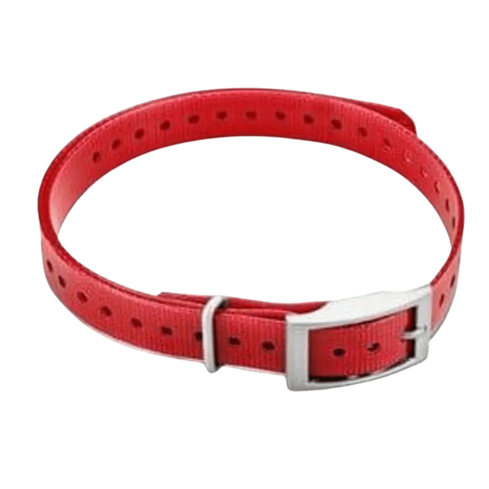 koiran kaulapanta T5 mini - Punainen (neliönmallinen solki), view: 0