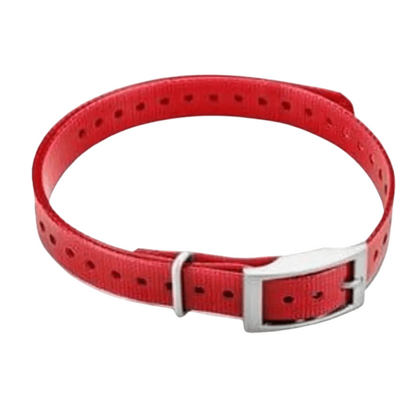 koiran kaulapanta T5 mini - Punainen (neliönmallinen solki), view: 0