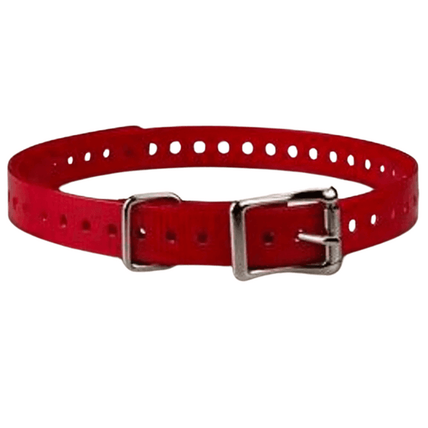 koiran kaulapanta T5 mini - Punainen (neliönmallinen solki), view: 1