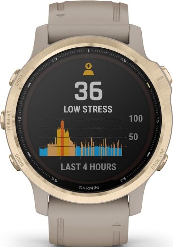 Fenix 6S Pro Solar Lt Gold/Sand, view: 2