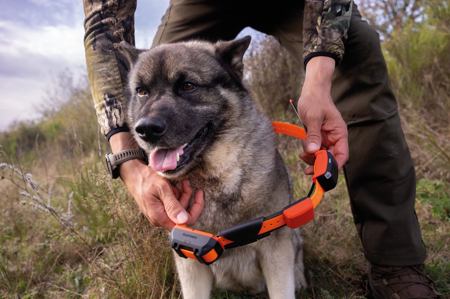 Alpha LTE koiranseurantalaite, view: 8