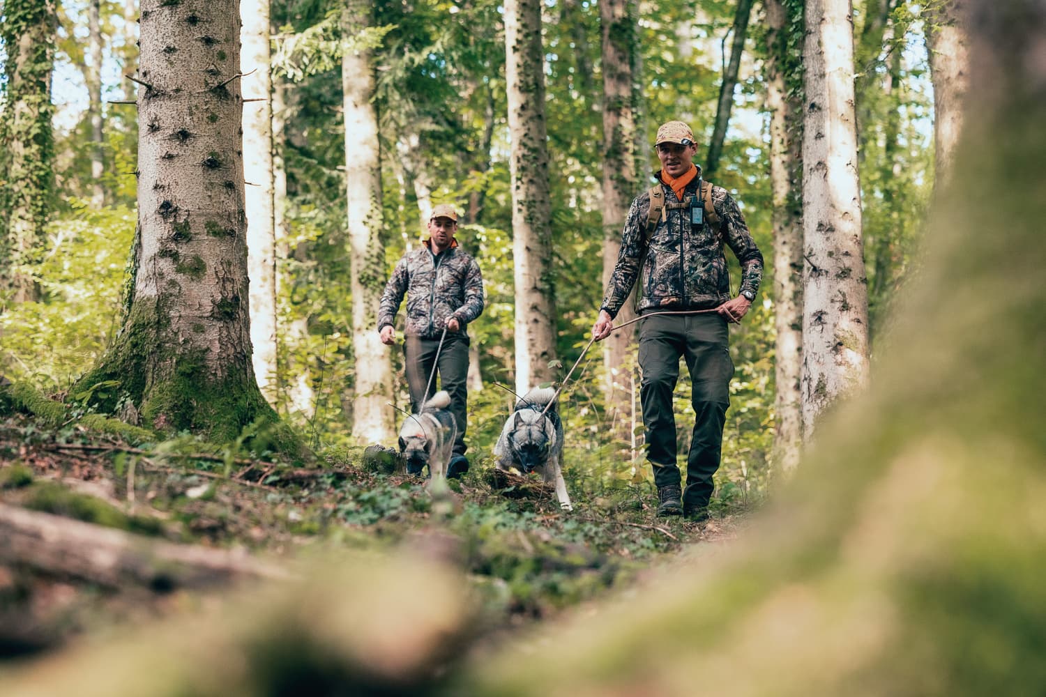 Alpha LTE koiranseurantalaite, view: 10