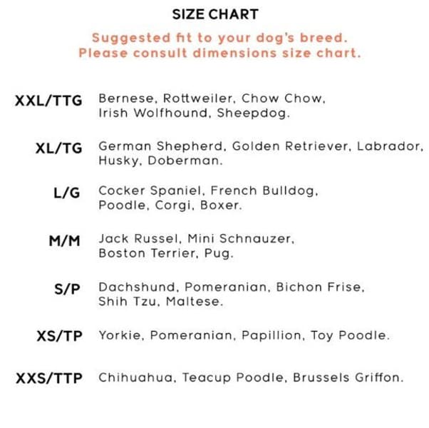 Goo-eez Trendz Snow Camo, koiran tossut, 2XL 2 kpl, view: 1