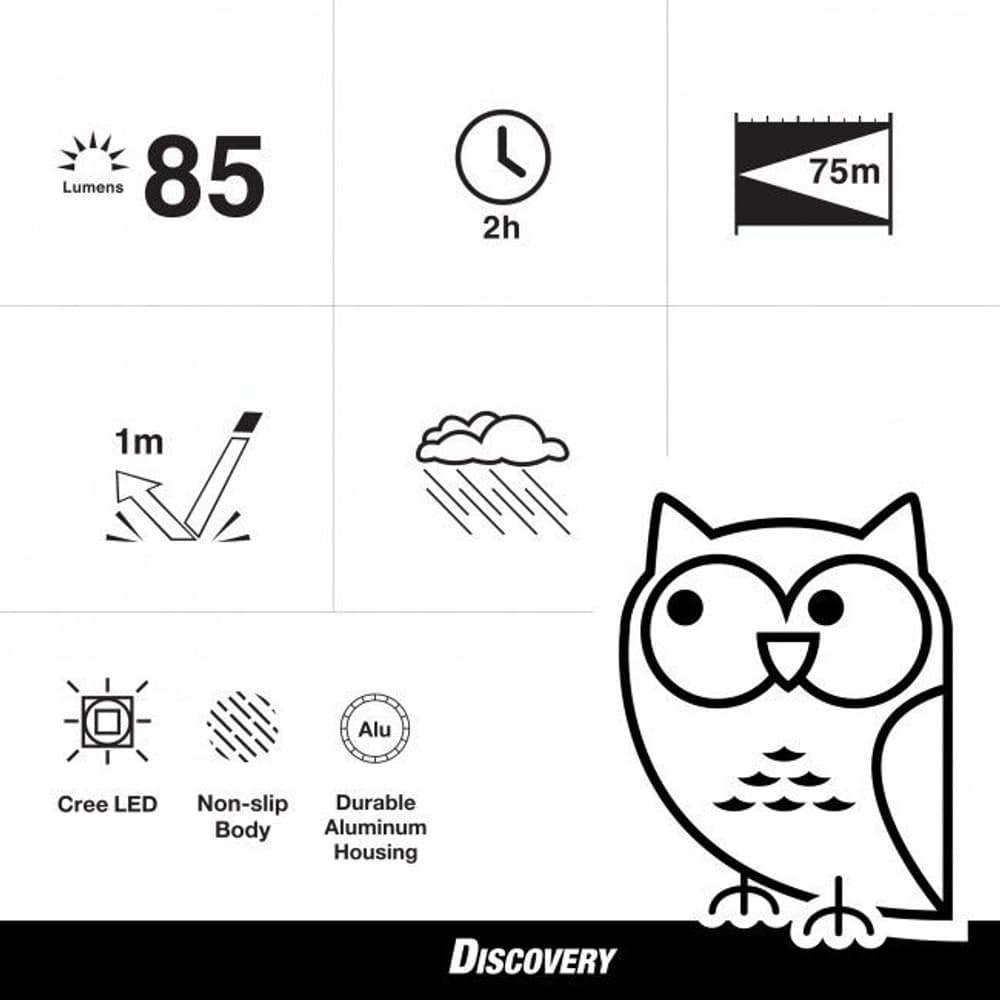 GP Discovery C31 Ibis 85lm, view: 2