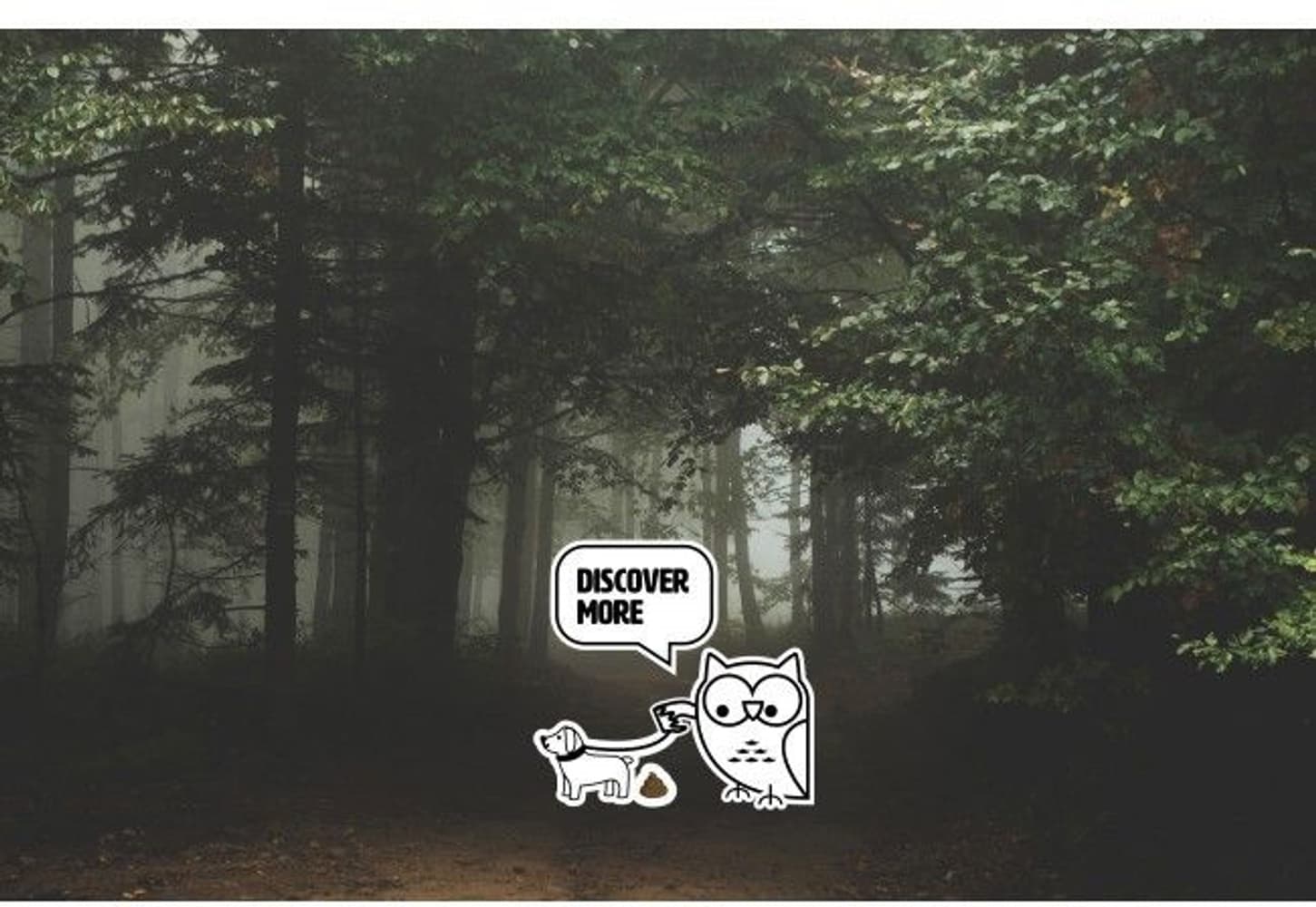 GP Discovery C32 Lupus taskulamppu, 300 lm, view: 4