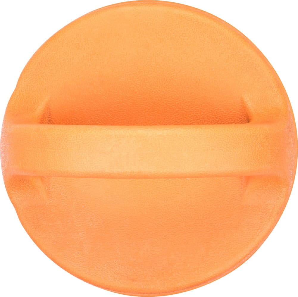 DOGGI Bold koiranlelu, Medium, view: 3