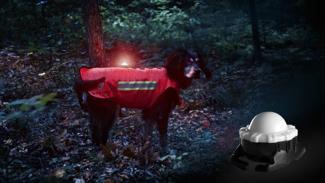 Scarab pantavalo koiralle, view: 1