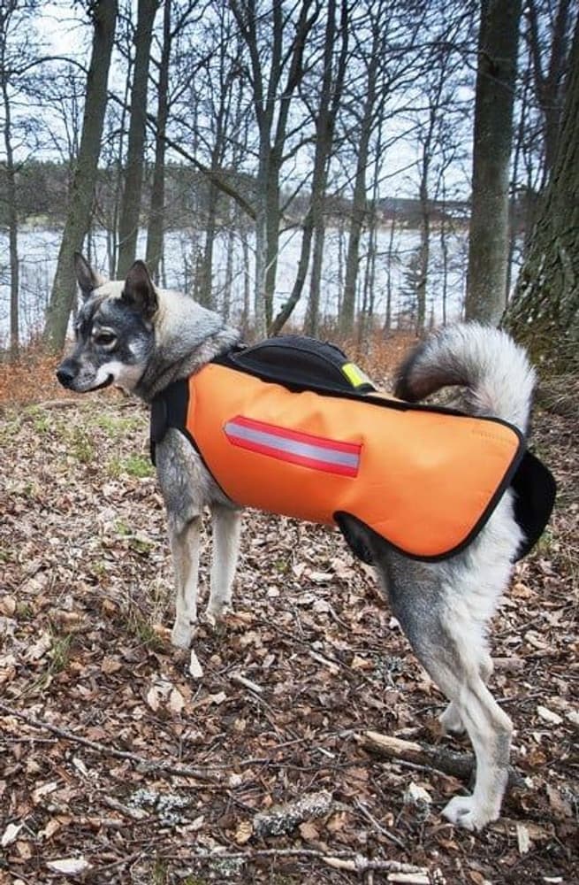 DogTech Euro Suojaliivi Villisika Oranssi, view: 2