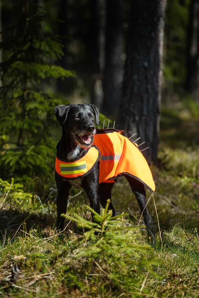 One Generation 2 susisuoja, view: 5