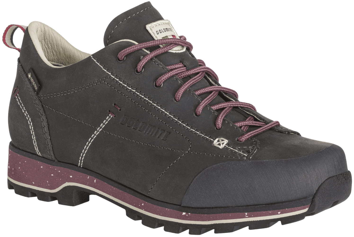 54 Low Fg Evo GTX naisten kengät, harmaa, view: 0