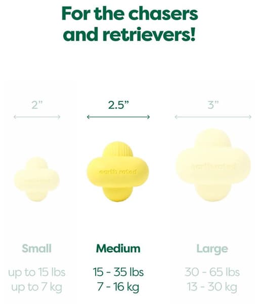 Fetch Toy koiranlelu, Medium, view: 2