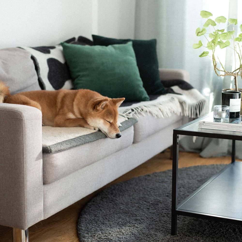 Snuggle koiran matkaviltti, S, greige, view: 5