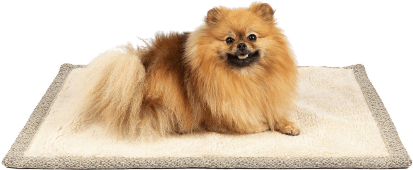 Snuggle koiran matkaviltti, S, greige, view: 4