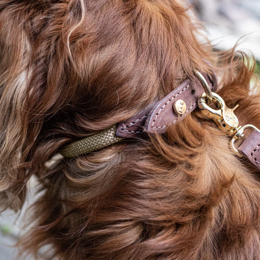 Torekov kaulapanta, Golden Sand M-XL, view: 1