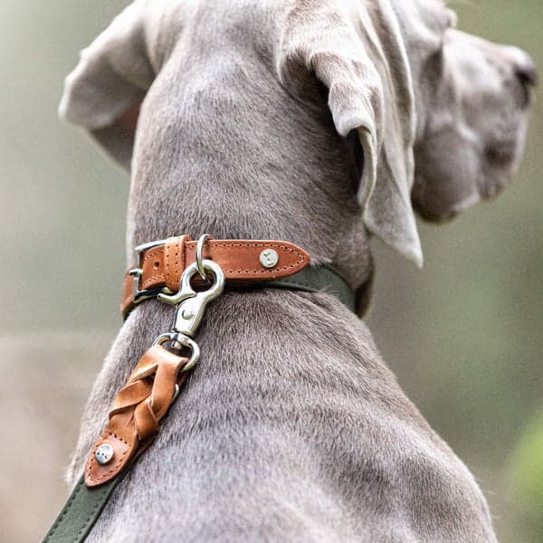 Signature talutin, S, Cognac/Khaki, view: 2