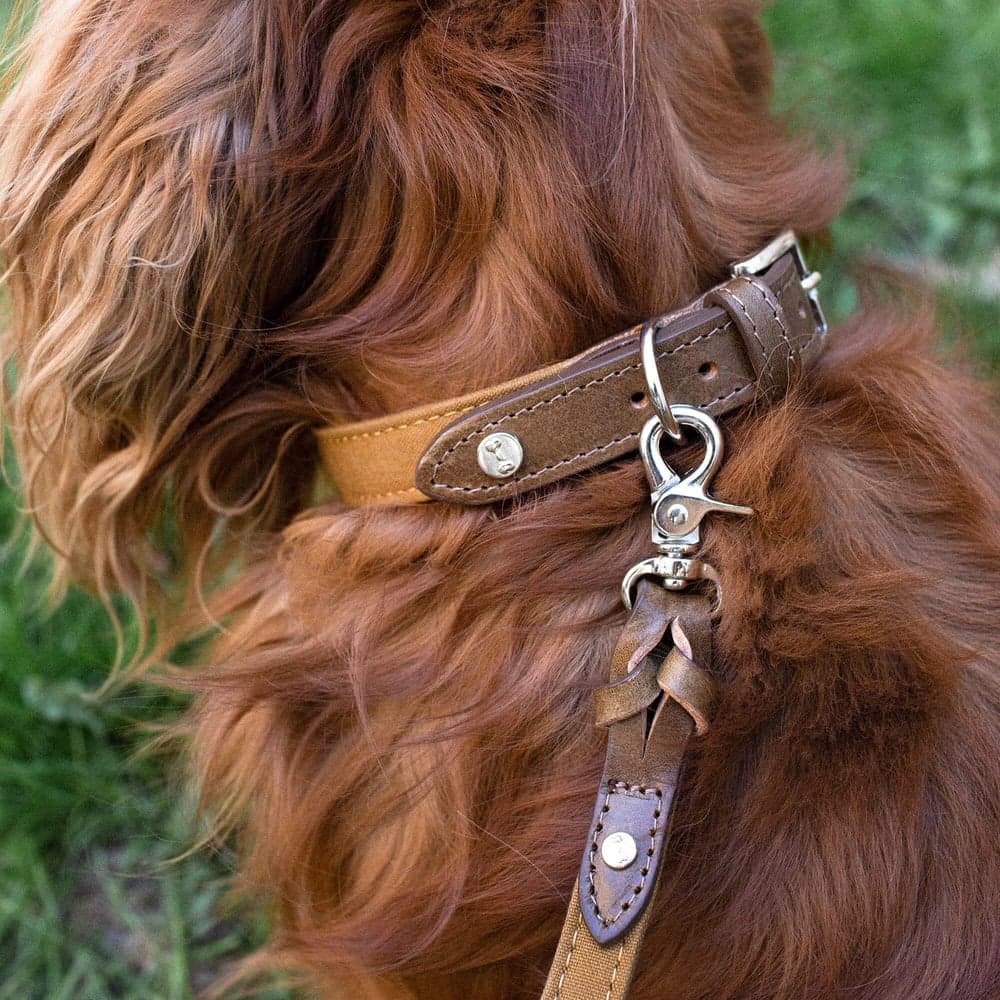 Signature kaulapanta, XS-S, Brown/Mustard, view: 1