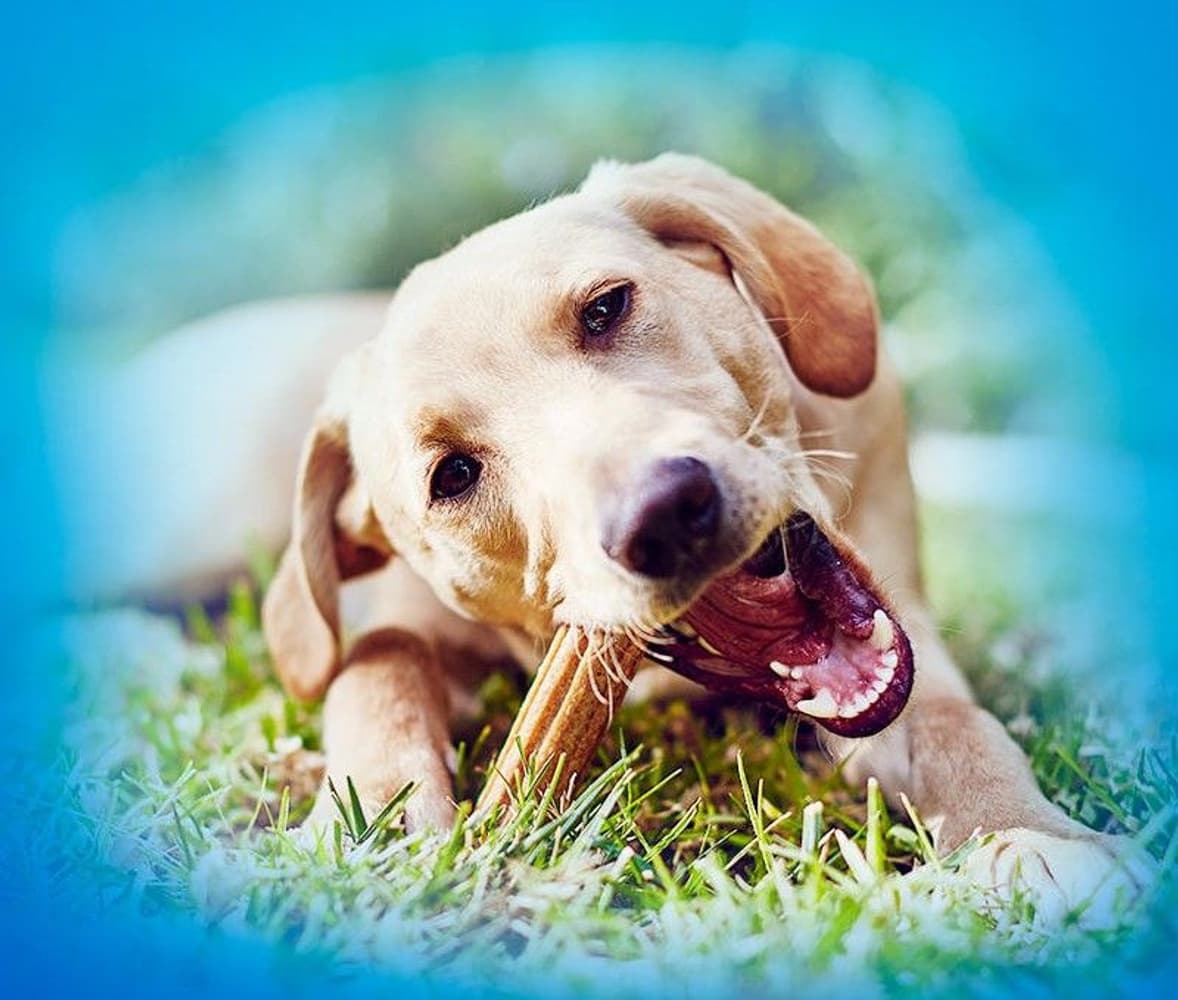 Large purutikku, 6 x 106g, view: 2