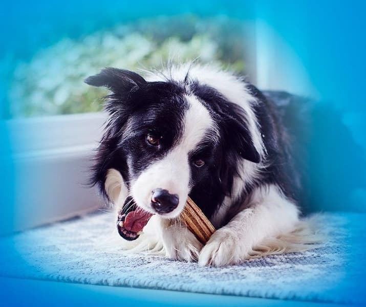 Medium purutikku, 8 x 69g, view: 2