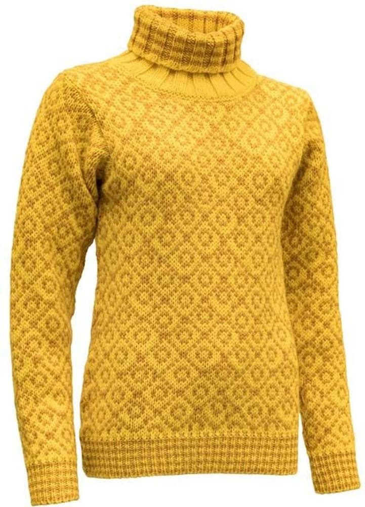 Svalbard Sweater High Neck Cyber/Arrowwood, view: 0