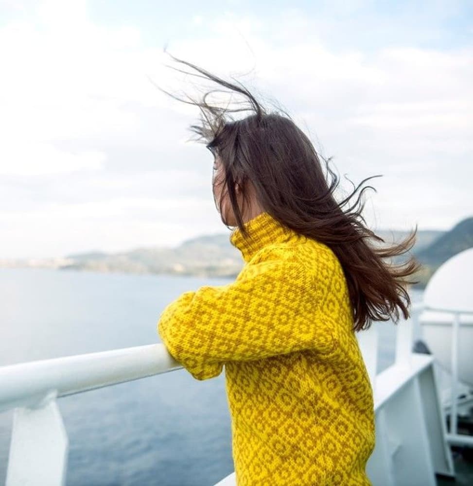 Svalbard Sweater High Neck Cyber/Arrowwood, view: 1