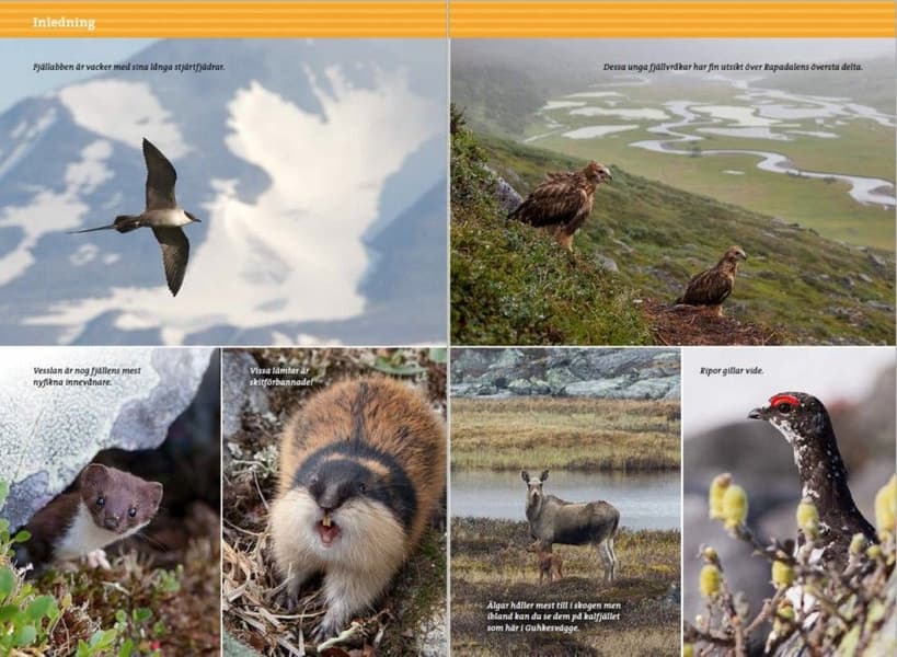 Fjällvandra i Sarek 2:a upplagan -vaella Sarekissa ,toinen painos, view: 10