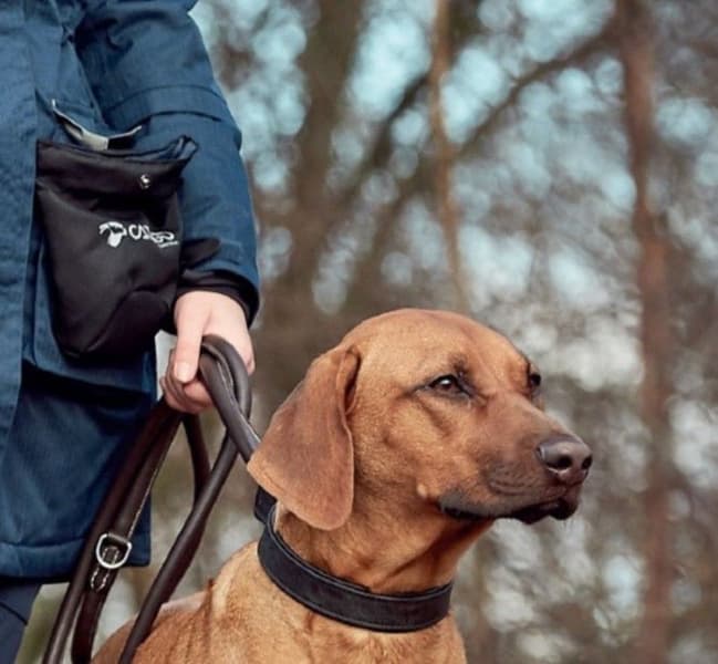 Snack Pocket namipussi, musta, view: 1