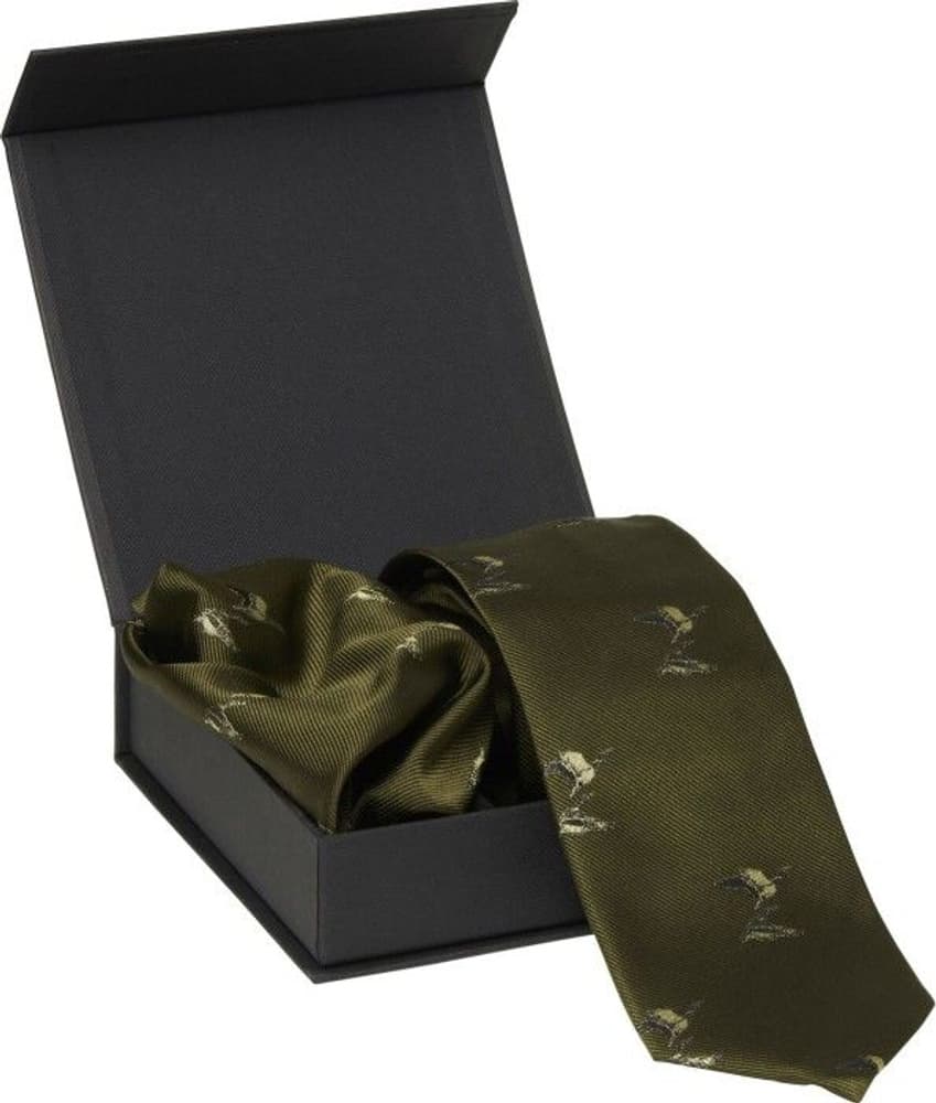 Ducks Tie & Hanky Set Green, view: 0