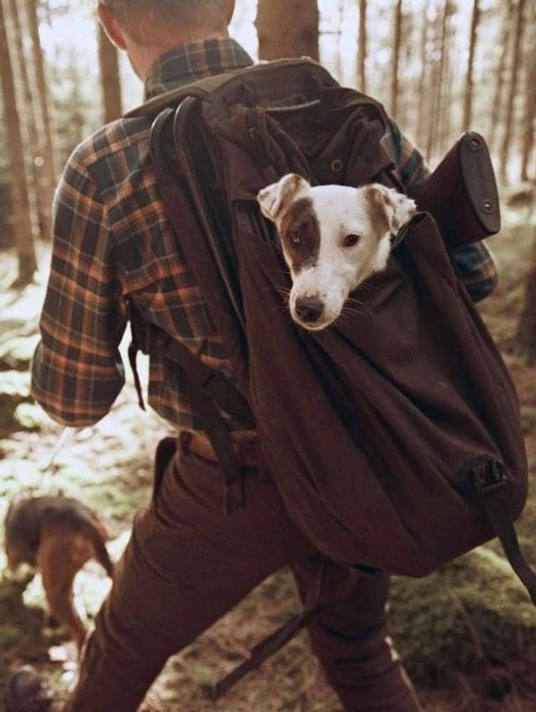 Stone Chair Pack reppujakkara, vihreä, view: 3