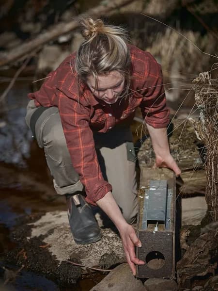 Eagle naisten flanellipaita, Fox Red Checked, view: 1