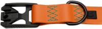 Dog Collar Ipanema kaulapanta, L, Orange - view: 1