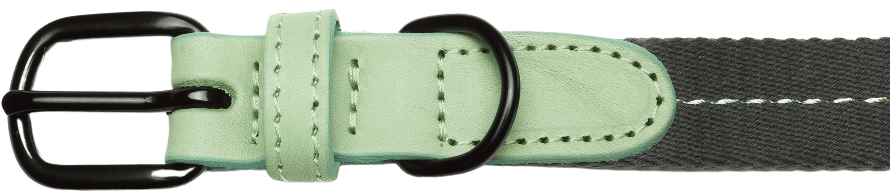 Dog Collar Madeira kaulapanta, L-XL, Mint, view: 1