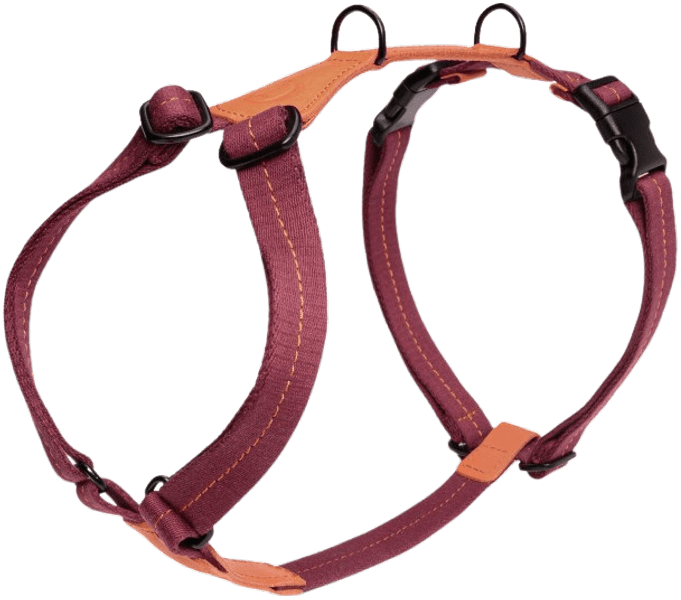 Harness Madeira valjaat, M-L, Papaya, view: 0
