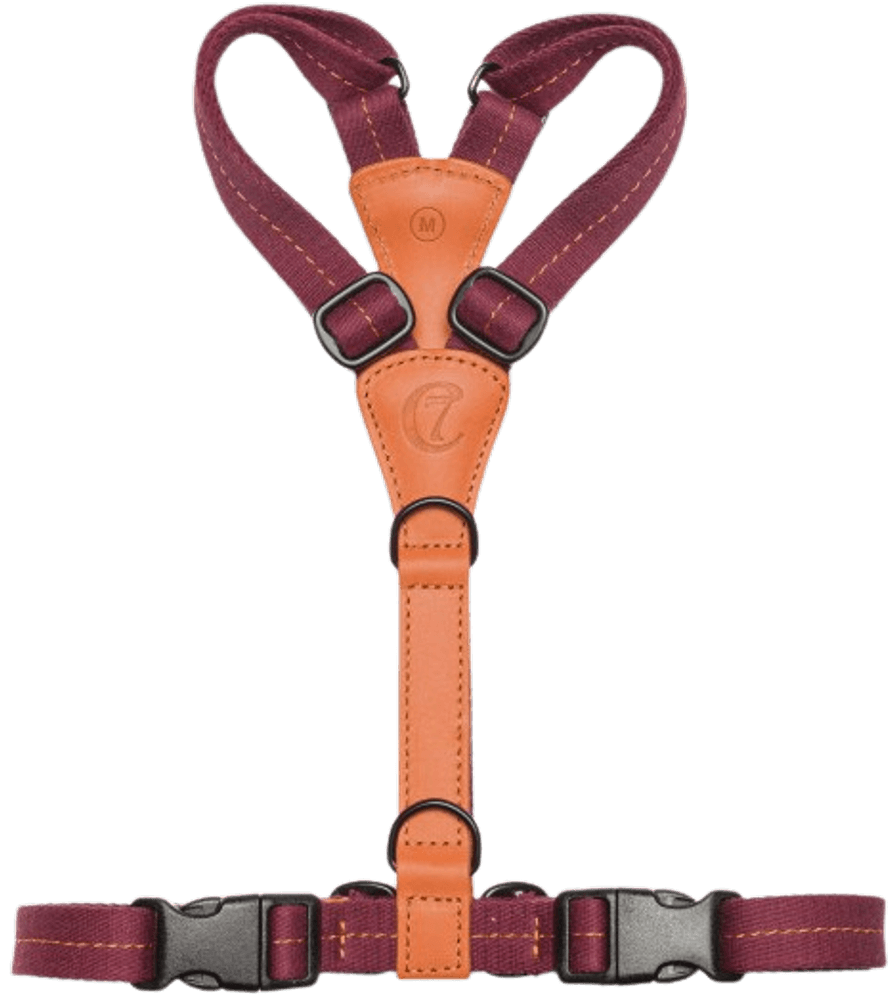 Harness Madeira valjaat, M-L, Papaya, view: 1