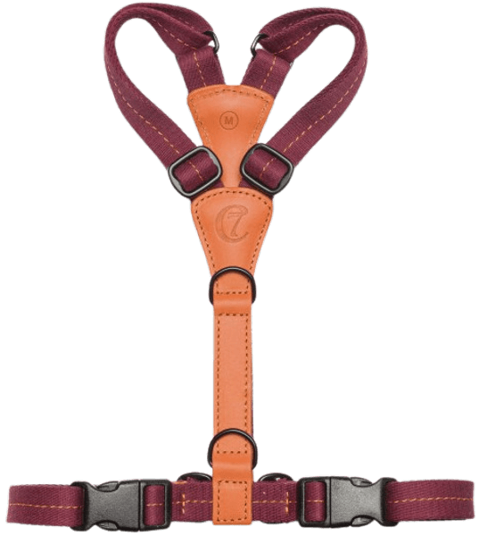 Harness Madeira valjaat, M-L, Papaya, view: 1