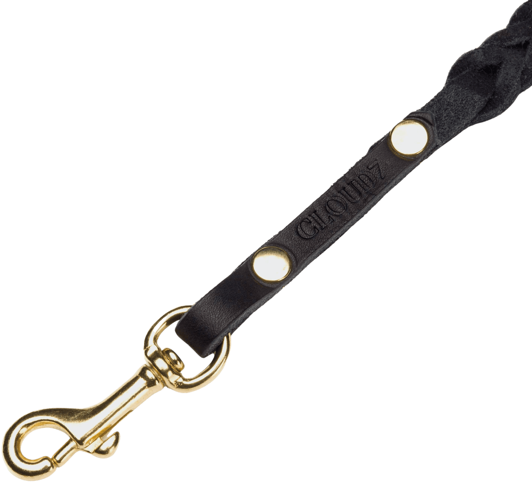 Leash Central Park koiran talutushihna, L, Black Gold Braided, view: 1