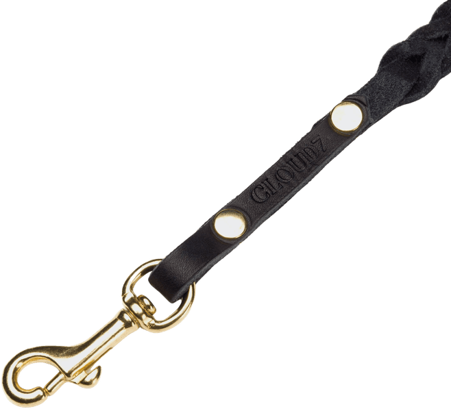 Leash Central Park koiran talutushihna, L, Black Gold Braided, view: 1