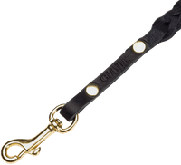 Leash Central Park koiran talutushihna, L, Black Gold Braided - view: 1