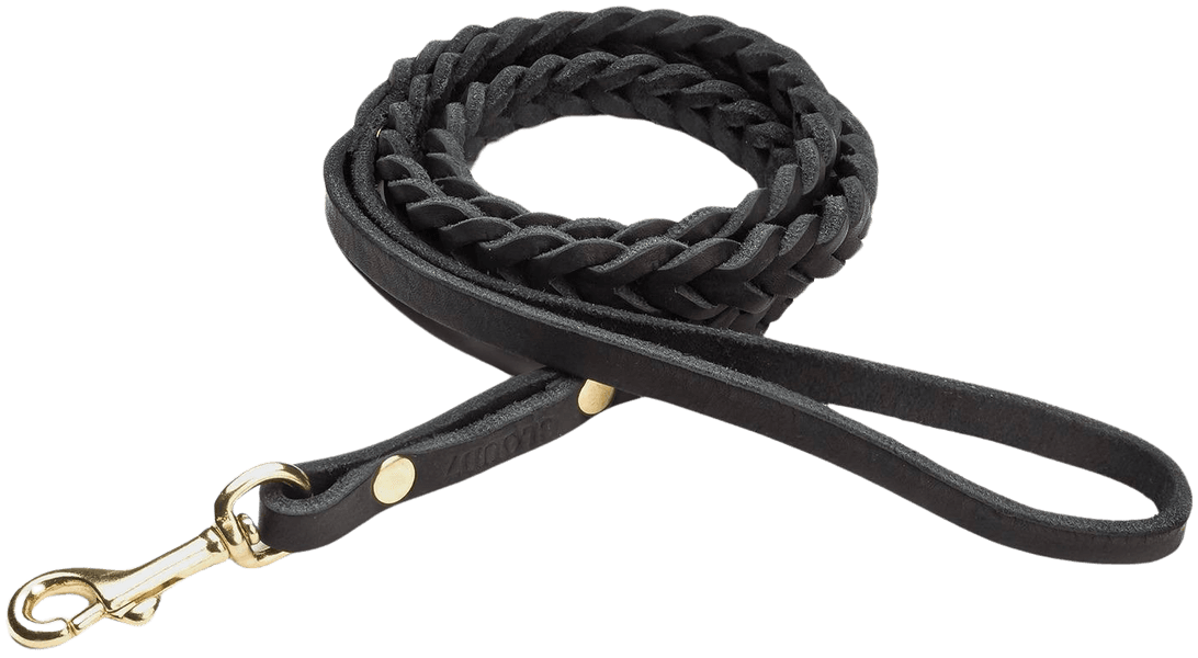 Leash Central Park koiran talutushihna, L, Black Gold Braided, view: 0