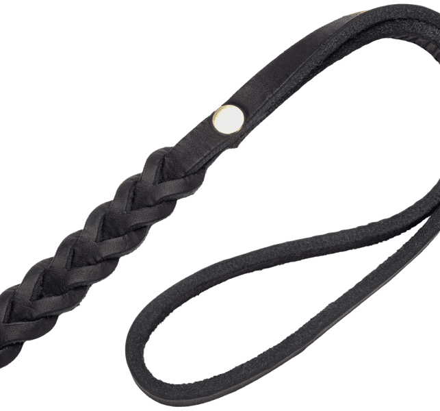 Leash Central Park koiran talutushihna, L, Black Gold Braided, view: 2