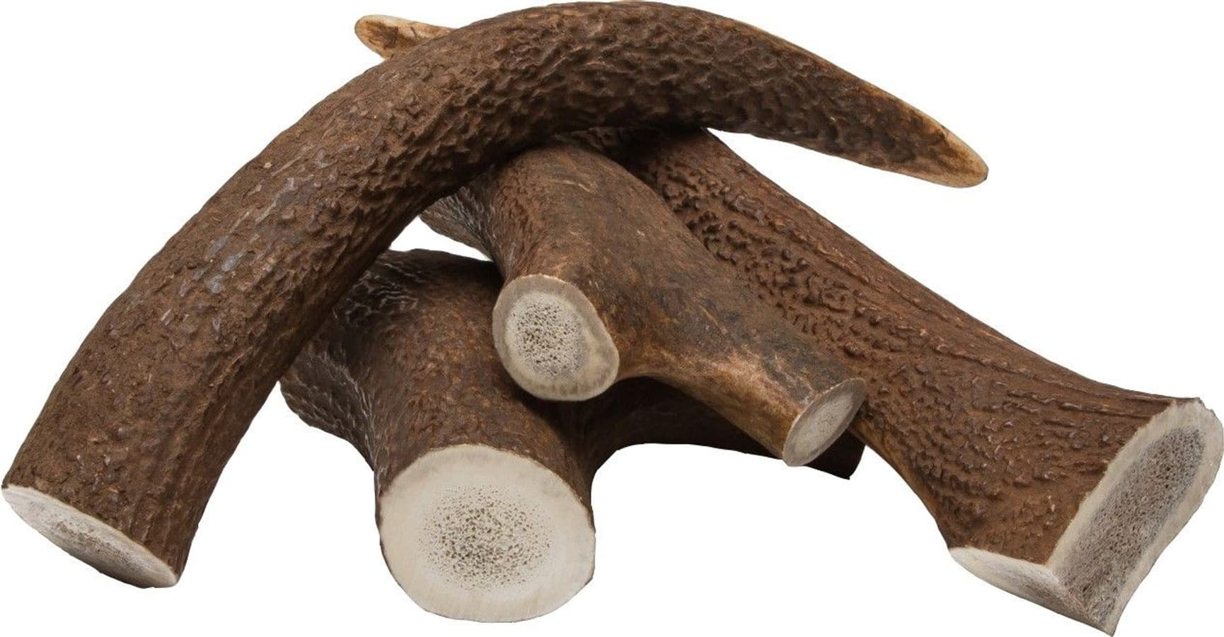 peuransarvi puruluu, M, view: 0